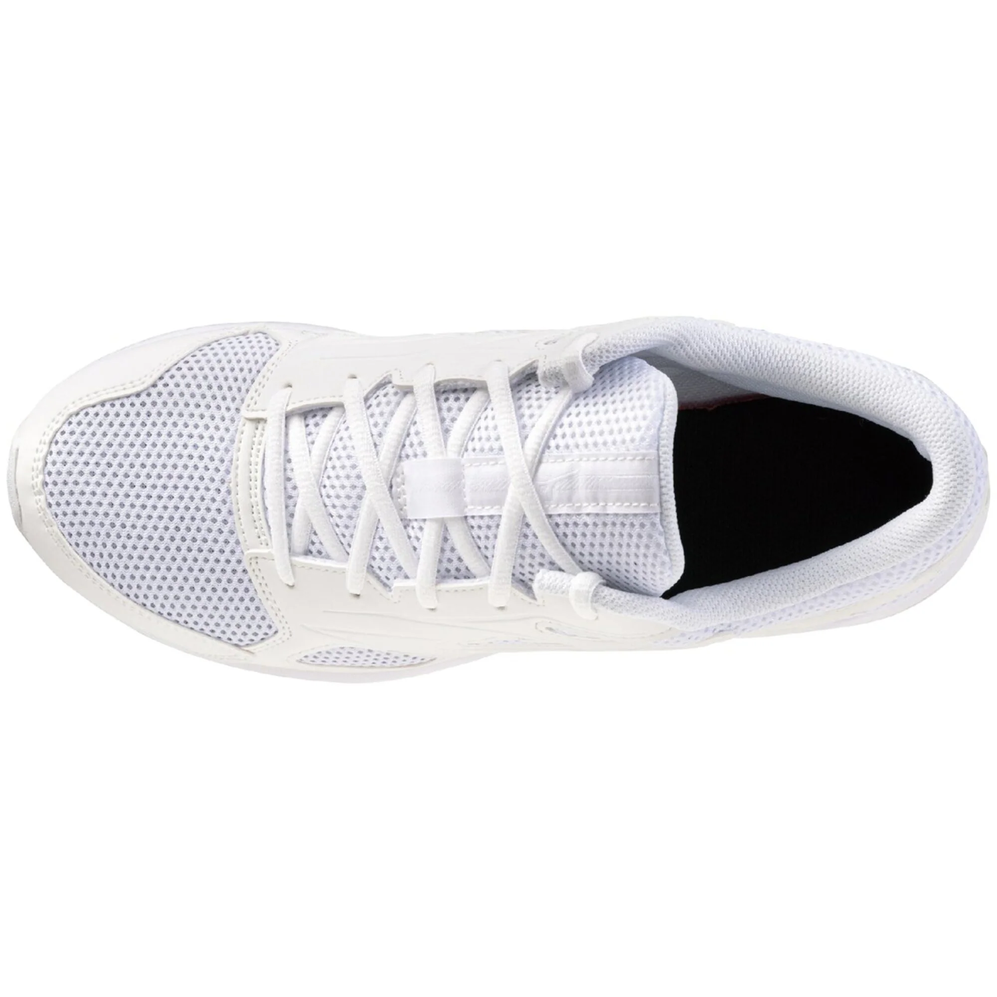 MAXIMIZER 26 - Image 4