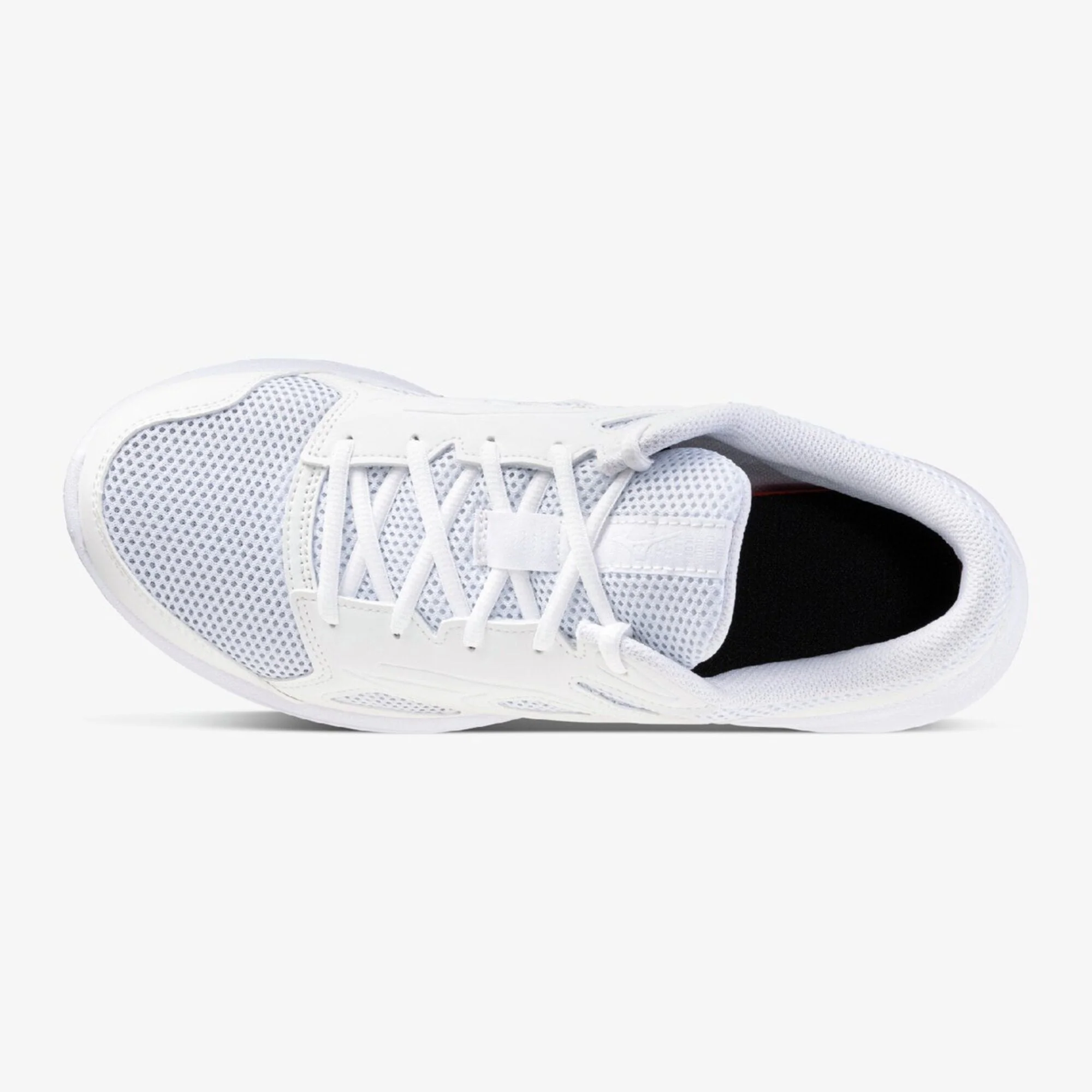 MAXIMIZER 27 - Image 6