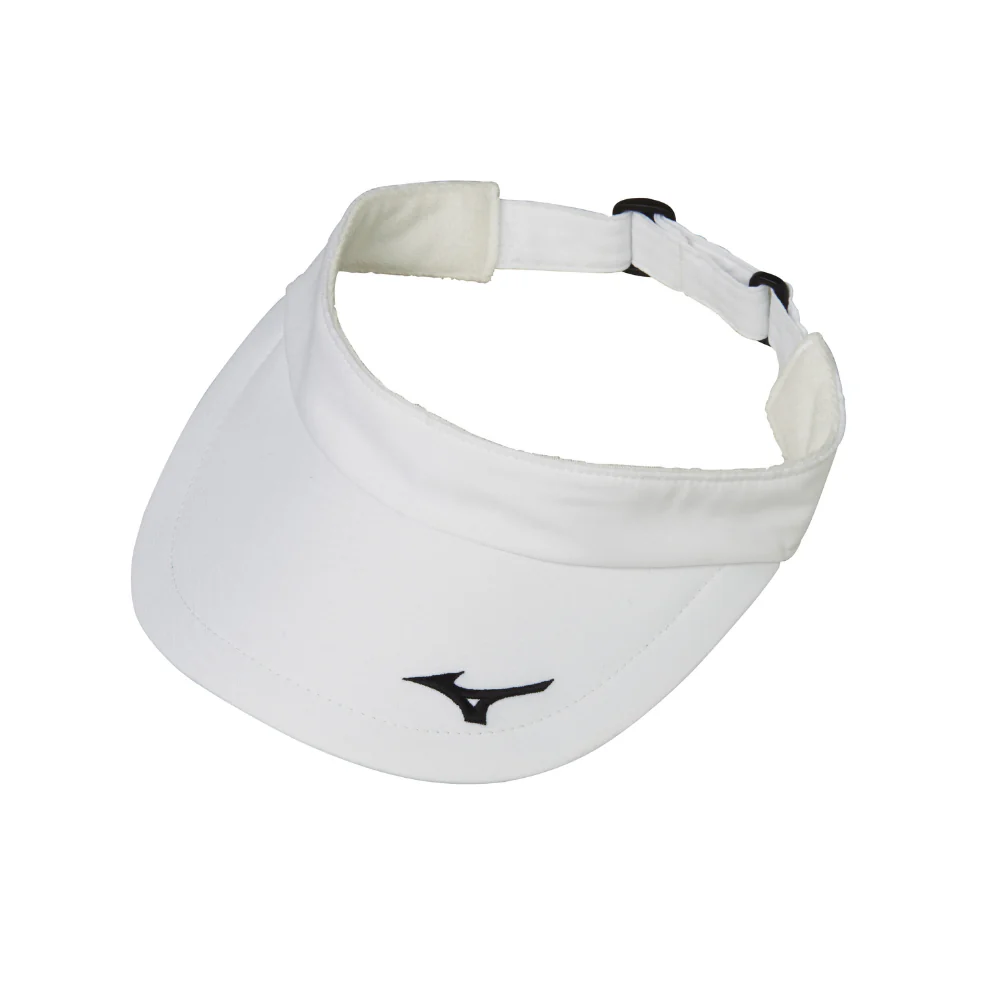 SUN VISOR